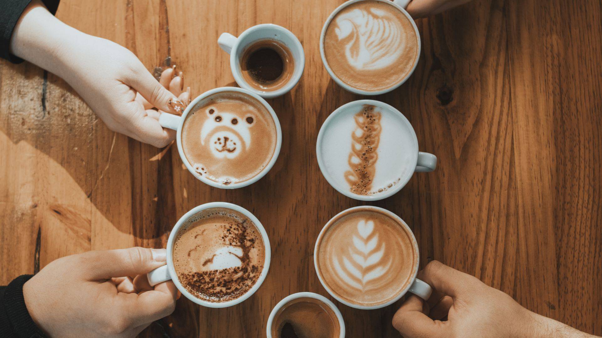 zdjęcie podglądowe tematu artykułu jakim jest temperament